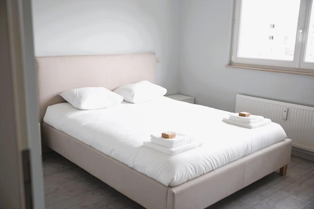 Charming Modern 2 Bedroom Apartment Alzingen Екстер'єр фото
