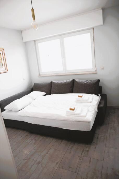 Charming Modern 2 Bedroom Apartment Alzingen Екстер'єр фото